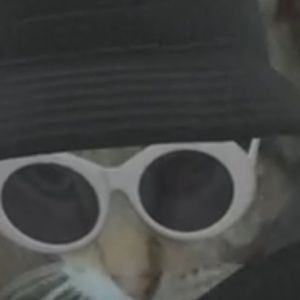 Meet your Posher, Claire